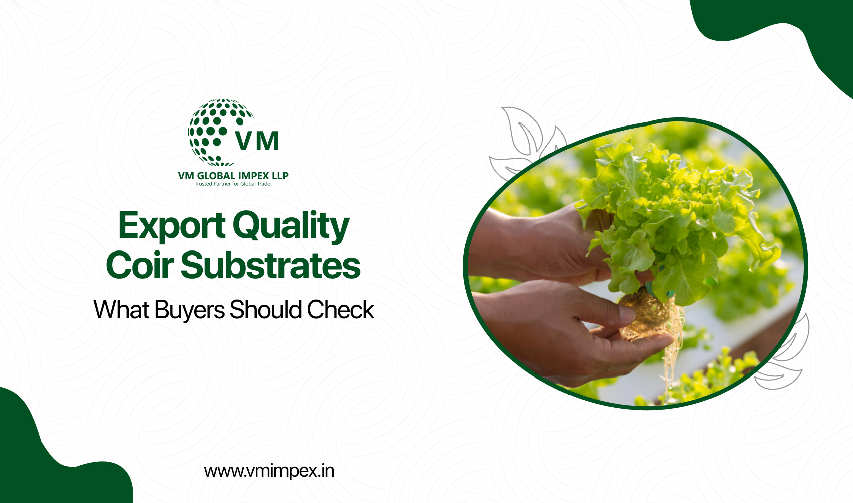 Export Quality Coir Substrates: What Buyers Should Check