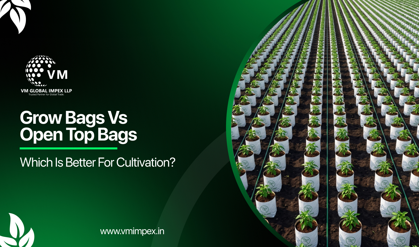 Grow Bags vs Open Top Bags: Which Is Better for Cultivation