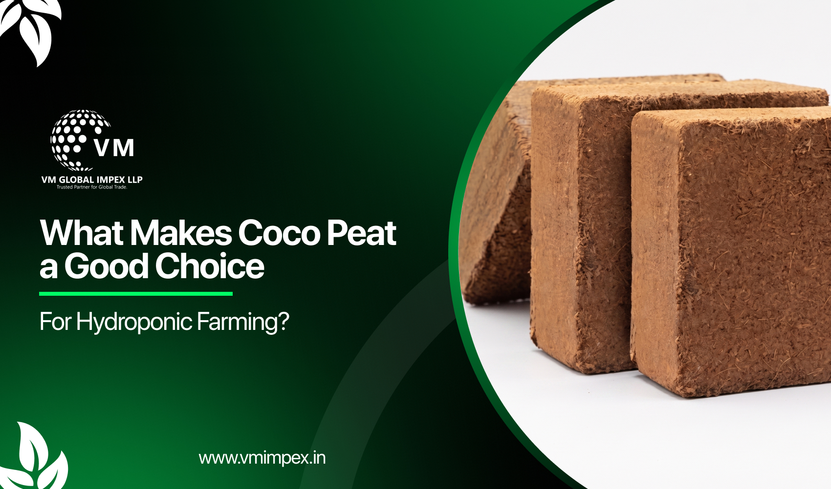 What Makes Coco Peat a Good Choice for Hydroponic Farming?